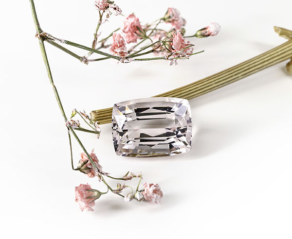 Diamant investissement GIA — Maison Menger